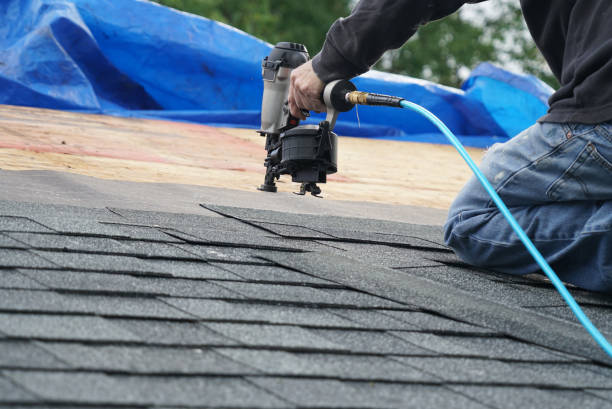 Best Roof Gutter Cleaning  in Neenah, WI